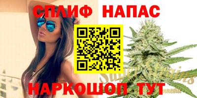 СК Будённовск