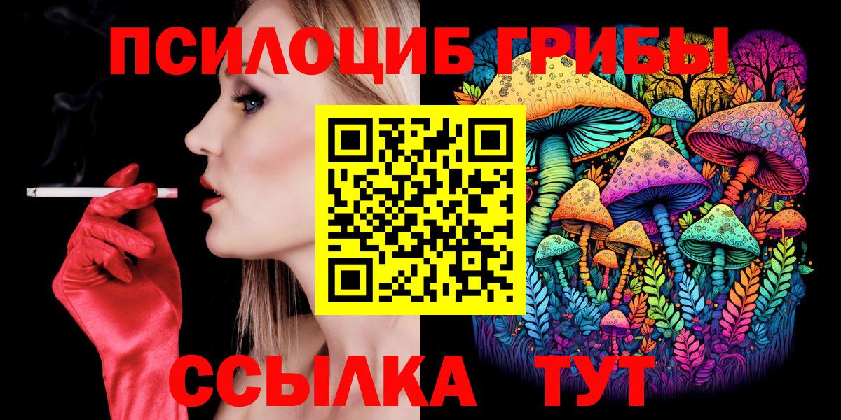 Псилоцибиновые грибы Psilocybe  Вход с VPN  наркота  Псилоцибиновые грибы мухоморы  Кувандык 